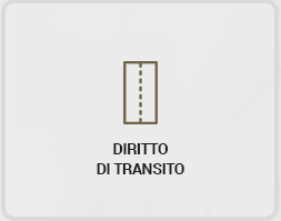 diritto_transito