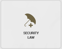 security_law