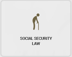 social_security_law